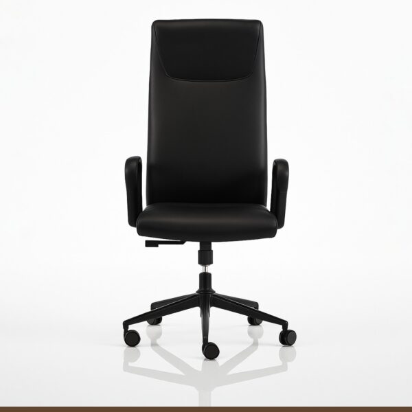Eames Ergonomic Chair
